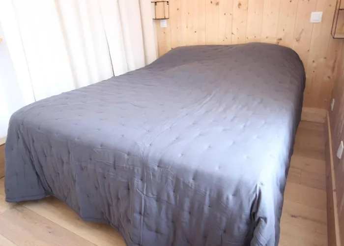 Centre-ville Bagnères-de-luchon T2 Avec Balcon, Wifi, Animaux Admis - Fr-1-313-233